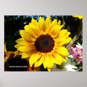Póster Bouquet de girasol y amigos