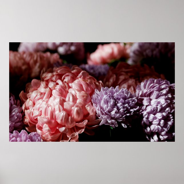Póster Bouquet de rosa con flores de astro morado en la l (Frente)