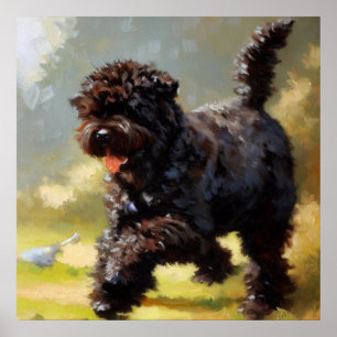 Póster Bouvier des Flandres Dog