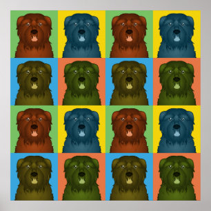 Póster Bouvier des Flandres Dog Cartoon Pop-Art