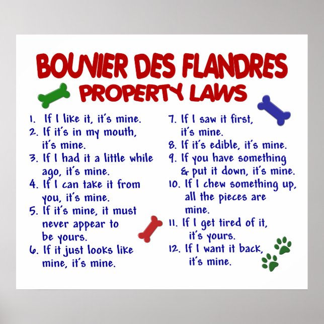 PÓSTER BOUVIER DES FLANDRES PL2 (Frente)