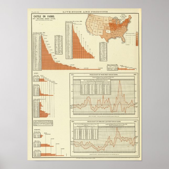 Póster Bovino (Frente)