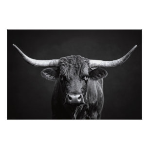 Póster Bovino de acero monocromo de Longhorn
