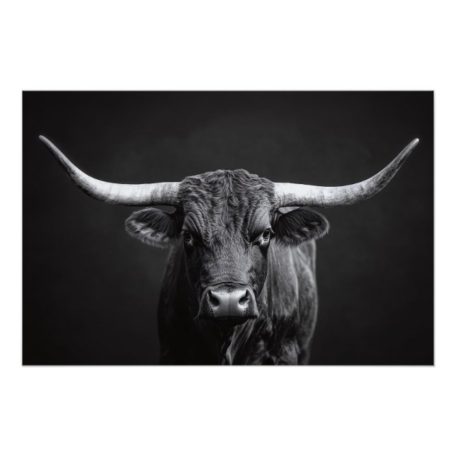 Póster Bovino de acero monocromo de Longhorn (Anverso)