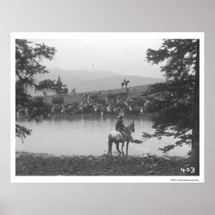 Póster Bovino junto a un estanque con dos vaqueros.
