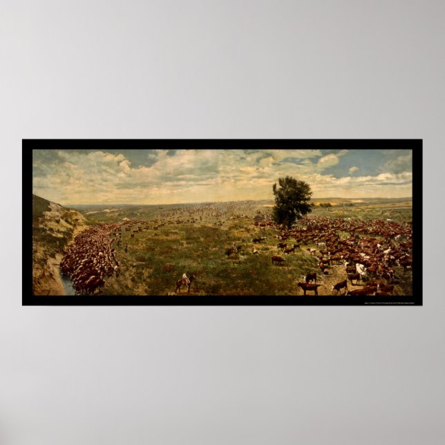 Póster Bovinos de vaca de 1912 (Frente)