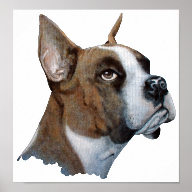 Póster Boxeador (Frente)