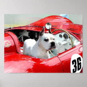 Póster Boxeador blanco en el poster de Maserati