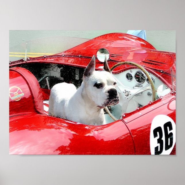 Póster Boxeador blanco en poster Maserati (Frente)