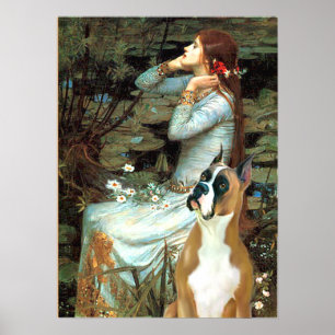 Póster Boxer 1 (orejas recortadas) - Ophelia