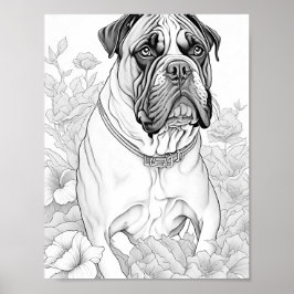 Póster Boxer Dog Coloring para adultos