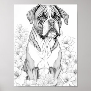 Póster Boxer Dog Coloring para adultos