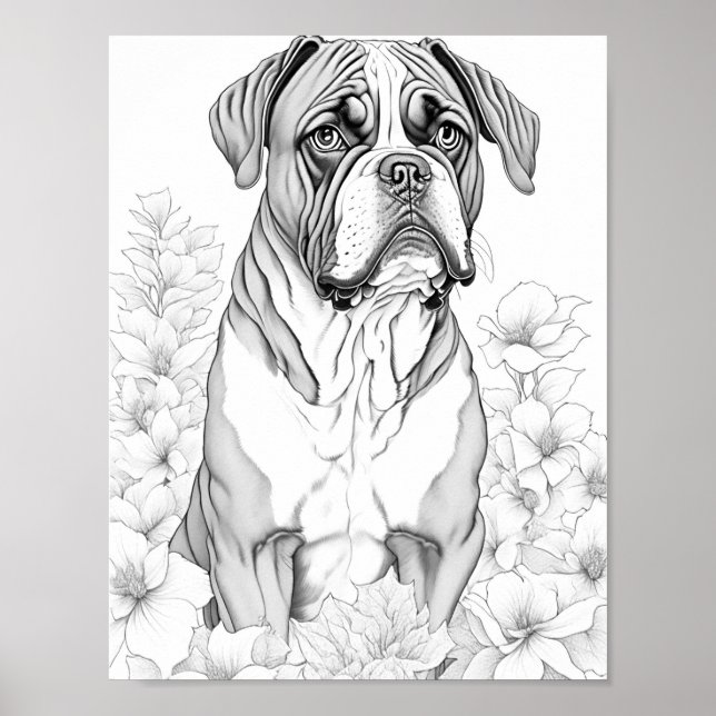 Póster Boxer Dog Coloring para adultos (Frente)