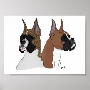 Póster Boxer Heads In Digital Art on Poster