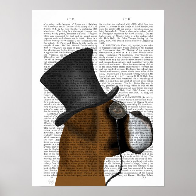 Póster Boxer, hebilla formal y Gorra (Frente)