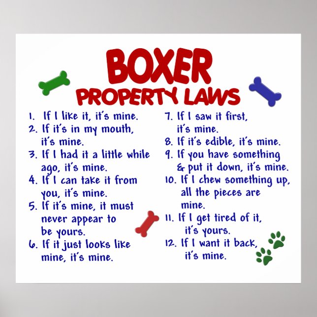 PÓSTER BOXER PL2 (Frente)