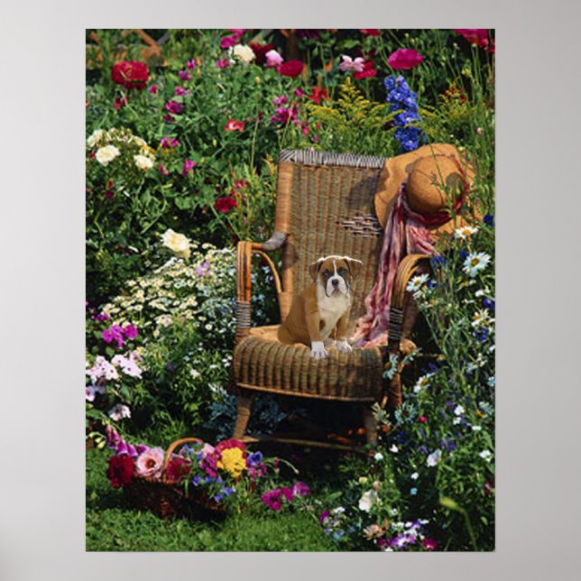 Póster Boxer Pup Poster In The Garden (Frente)