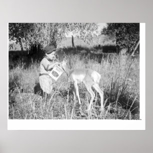 Póster Boy feeding antelope