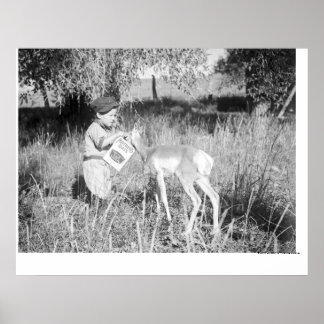 Póster Boy feeding antelope