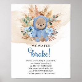 Póster Boy Teddy Oso tropical My Water Broke signo del ju