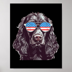 Póster Boykin Spaniel Usa Bandera Americana Perro Sungles