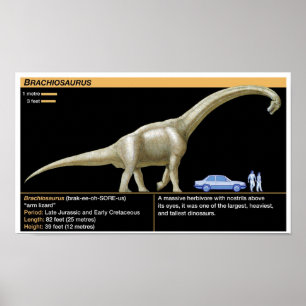 Póster Brachiosaurus - Biología Jurásico