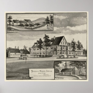 Póster Bradford Mineral Springs