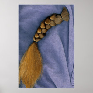 Póster Braid