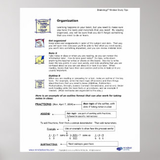 Póster Brainology® Poster4: Organización