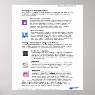 Póster Brainology® Poster 6: Construyendo tu red neuronal