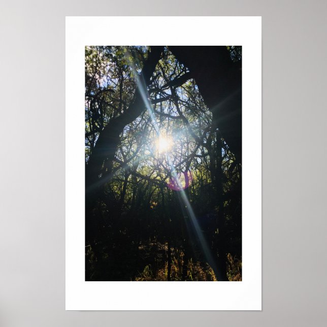 Póster Brancas iluminadas con sol entrelazadas Fotografía (Frente)