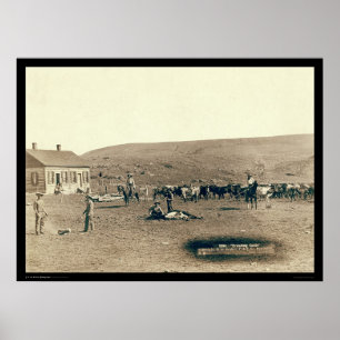 Póster Branding Cattle SD 1891