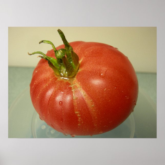 Póster Brandywine Tomato (Frente)