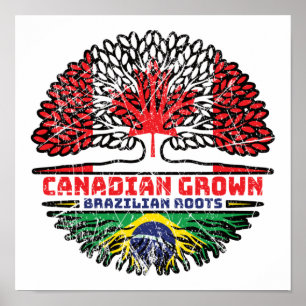 Póster Brasil: Bandera de raíces de árbol canadiense cana