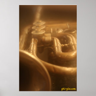 Póster Brass Classy