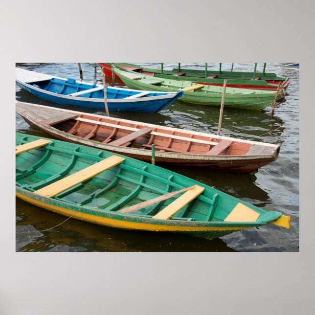 Póster Brazil, Amazon, Alter Do Chao (Frente)