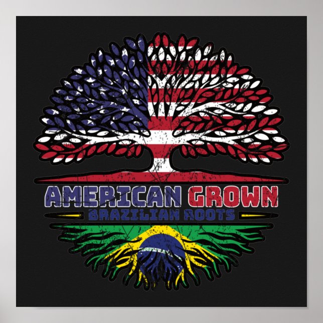 Póster Brazilian Brazil US American USA United States (Frente)