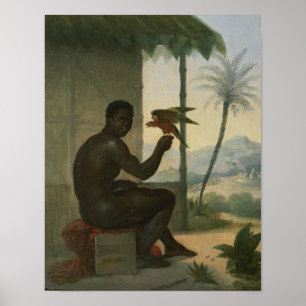 Póster Brazilian negro with Tropical Bird
