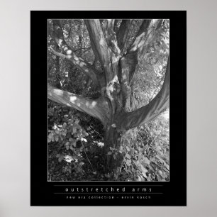 Póster Brazo Outstretched
