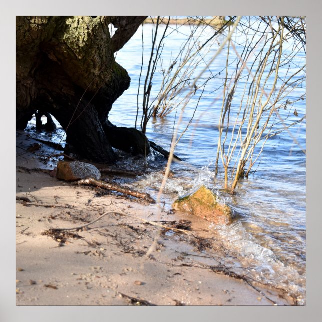 Póster Breakers, Beach life (Frente)