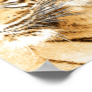 Póster Breaking Up_