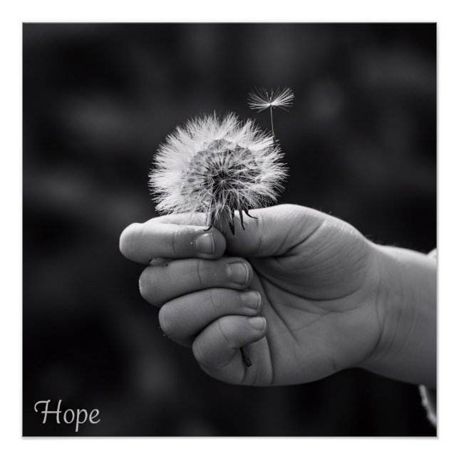 Póster Breath of Hope (Anverso)