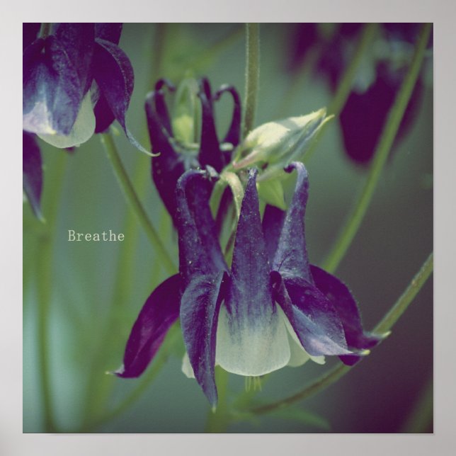 Póster Breathe - Poster cuadrado (Frente)