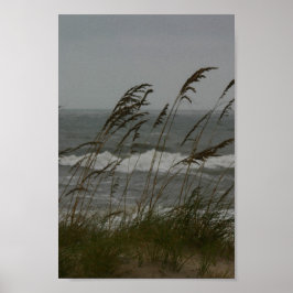 Póster Brecha marina