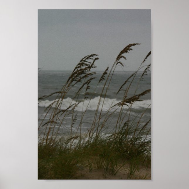 Póster Brecha marina (Frente)