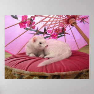 Póster Breeze Of Japan