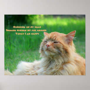 Póster Breeze Sunshine Happy Cat Haiku