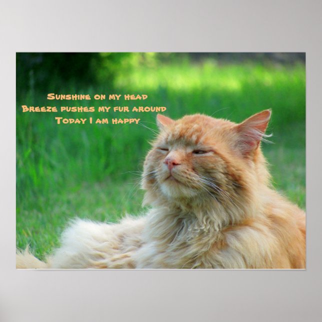 Póster Breeze Sunshine Happy Cat Haiku (Frente)