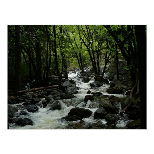 Póster Bridalveil Creek en el Parque Nacional Yosemite (Anverso)