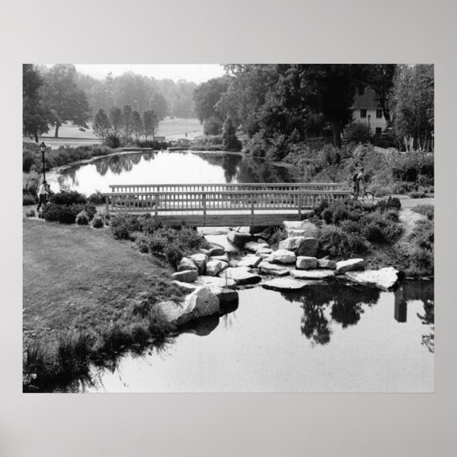 Póster Bridge in CT Print (Frente)